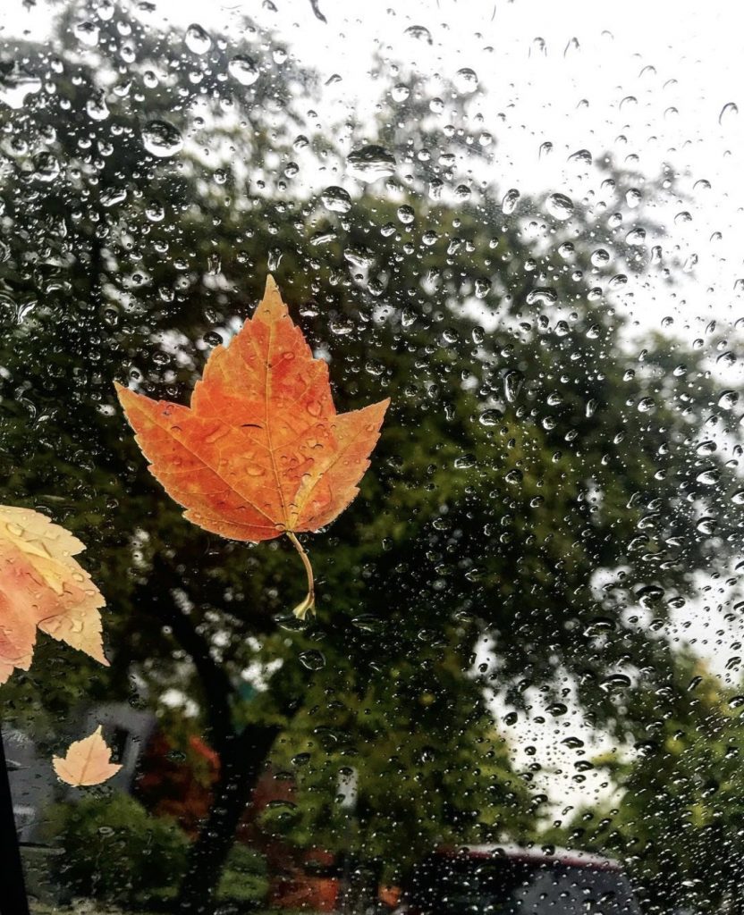Outuno com chuva em Vancouver, Agarre o Mundo
